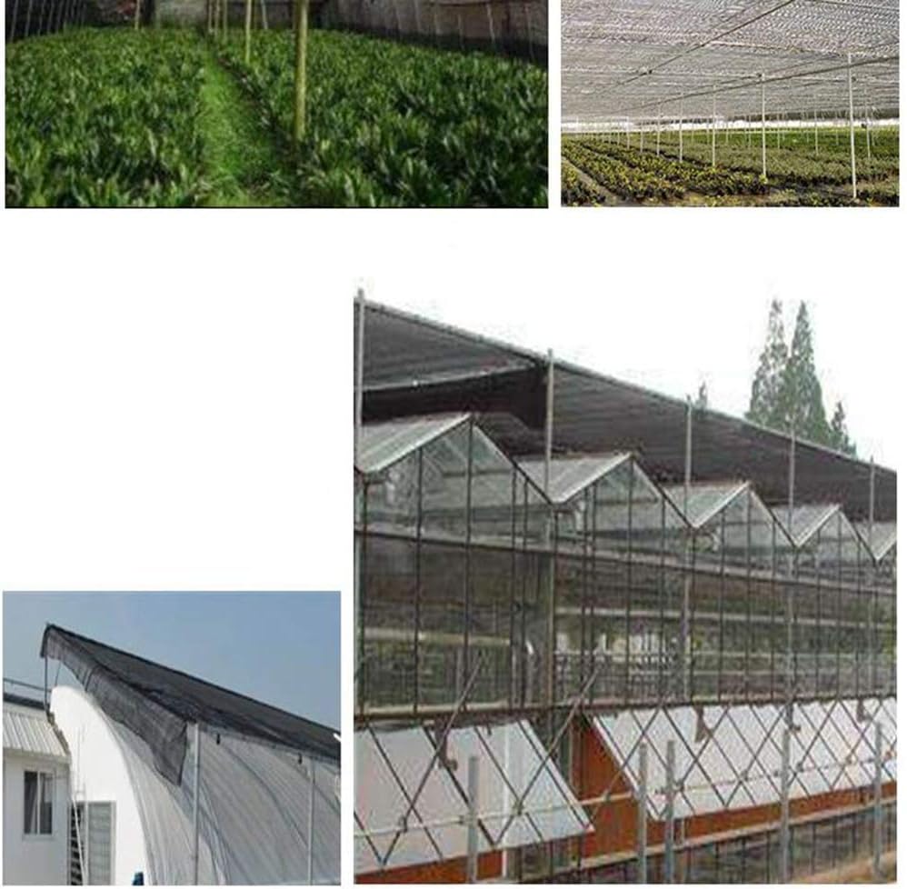 Tela De La Sombra Del Sol Solar Resistente A Los Rayos UV Sombra Solar