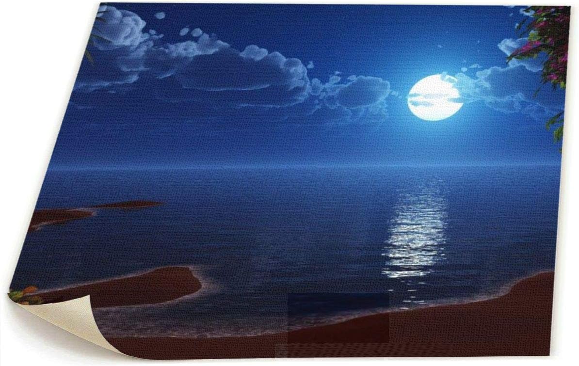 Amazon Co Jp 鳴き砂 ポスター 海 浜辺 月 夜 油絵 絵画 アートパネル 壁画 58 48cm 壁紙ポスター しゃしん 壁飾り 風景画 壁絵 おしゃれ 装飾画 ホーム キッチン