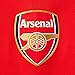 Arsenal Jersey Home 2016
