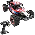 havcybin 1:10 Turbo Racing Scale RC Sport Car, 1/10 Scale 4WD Desert Buggy RTR (HAV-10-Red)
