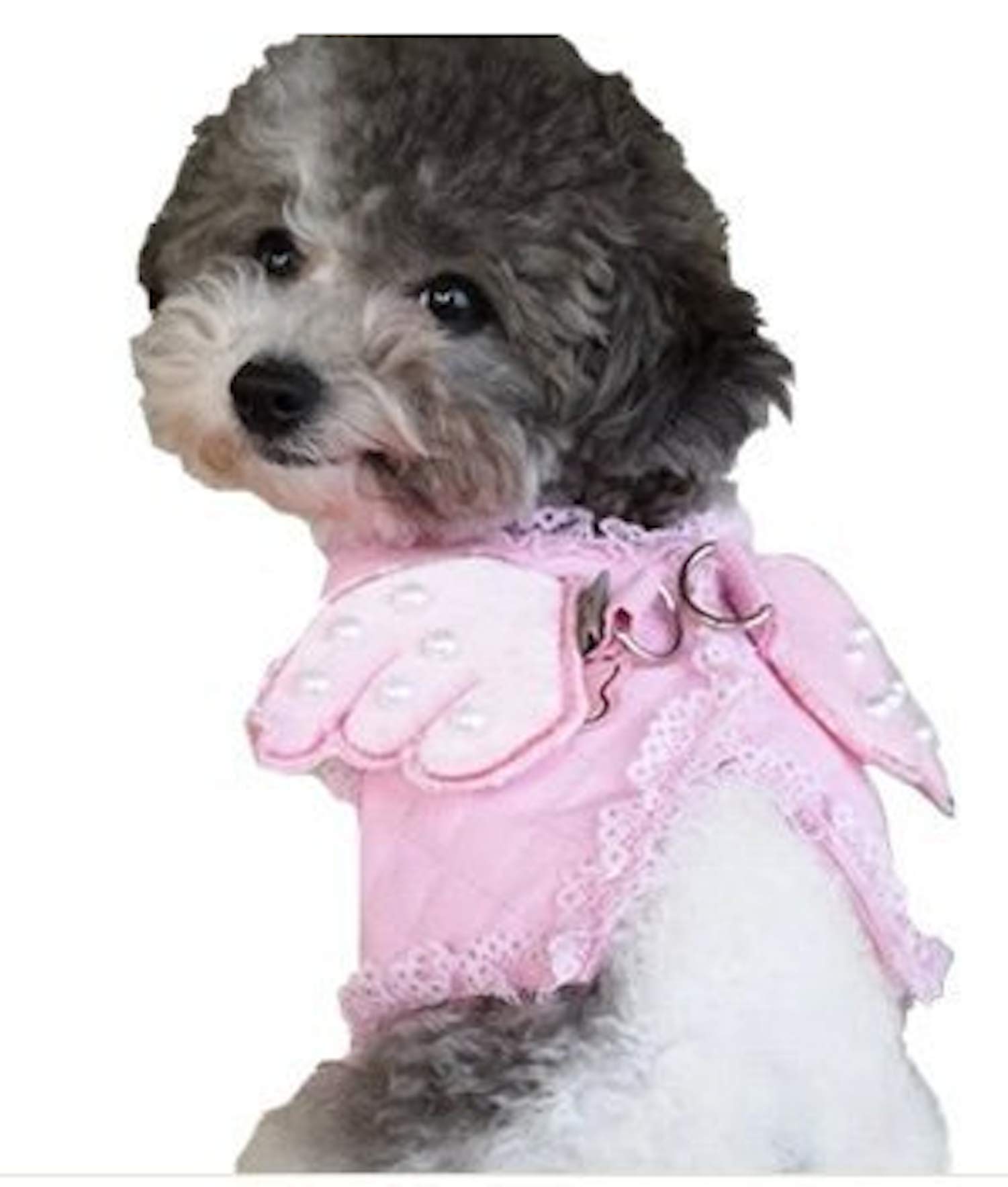 Pet Palace "Little Angel Dog or Puppy Wings Harness and Lead Set with FREE flashing LED Safety Light Collar Tag (SMALL)