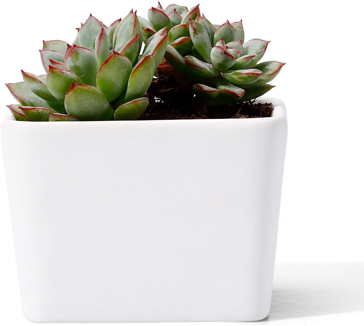 3 Inch Small Cactus Indoor Plants Carden Container Planting Metal Stand Decor Office With Drainage Potey Ceramic Succulent Planter Pot Three Small Pots Gardening Kolenik Pots Planters Container Accessories