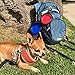 BLEDS Collapsible Dog Bowl, 2 Pack Small Dog Travel Bowls for Pet Cats Dogs, Pet Feeding Watering Bowls for Hiking Camping Includes 2 Carabiners (Blue + Red)