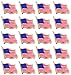 Bassion 20 PCS American Flag Lapel Pin Waving for Veterans Independence Memorial Day 4th of July Decor USA Flag Pins Accessaries