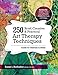 250 Brief, Creative & Practical Art Therapy Techniques: A Guide for Clinicians and Clients