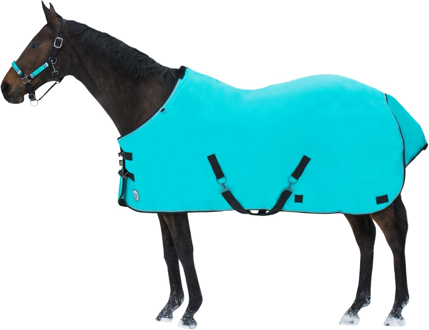 1200D Horse Turnout Blanket by Kensington — 80g Stable