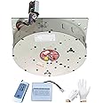 Anbaochi Chandelier Hoist Lifter System, DDJ150 10M Remote Control+Wall Switch Electric Motor Winch Lighting Lifting, 110V-120V Max Capacity 330lbs, Hoist Lift (DDJ150 330lbs 10m)