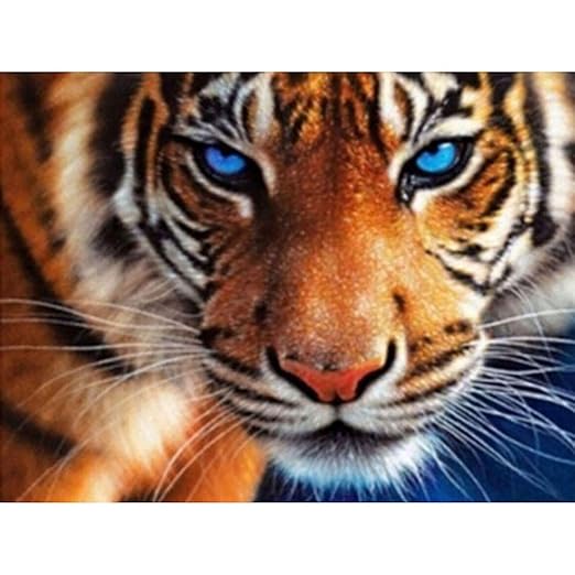 Gjyac Diamond Painting Diamond Embroidery Tiger Face 5d Diy