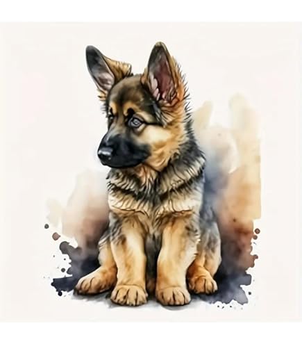 Paint By Numbers Kit For Adults - Beach German Shepherd Dog DIY Painting 40x50cm