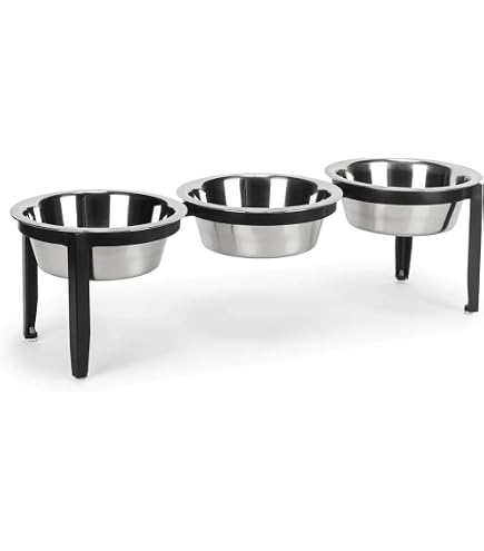 Amazon.com: GTW Elevated 3 Bowl Dog Feeding Station - Customized Triple  Stand for Small Dog Breeds - Includes Storage & Stainless Steel Bowls  (Small, Blue) : Pet Supplies