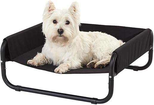 bunty elevated dog bed
