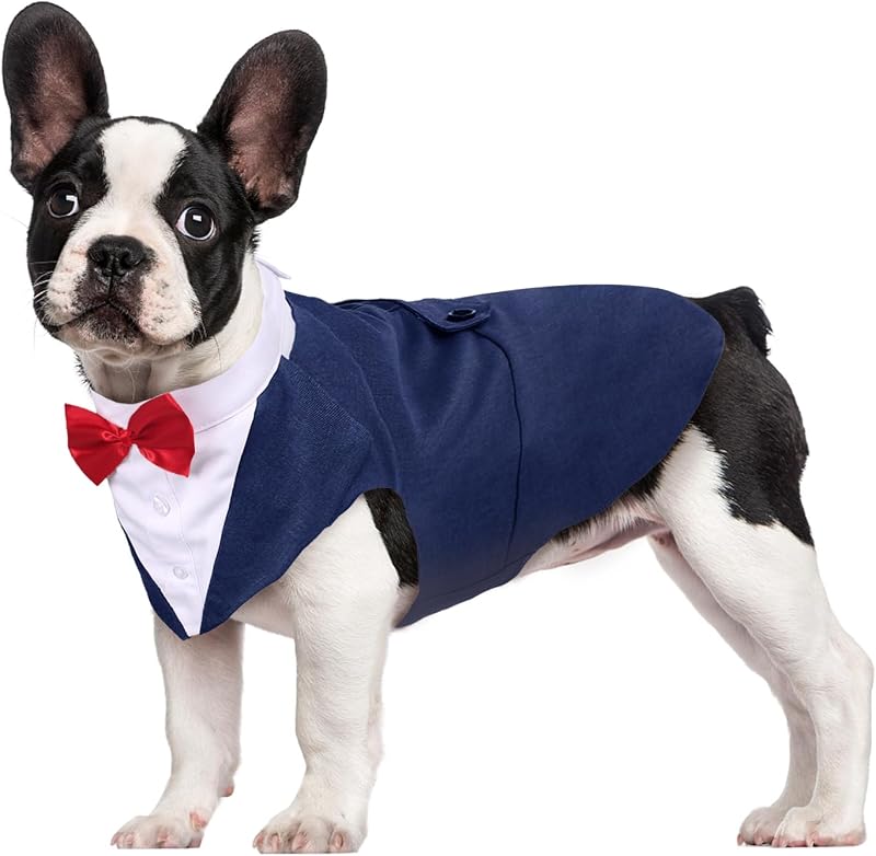 Kuoser Dog Tuxedo Wedding Suit and Bandana Set 5 Sizes Small to XXL