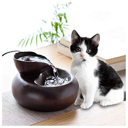 Amazoncom Kkkfffn Pet Water Fountain Cat Water Fountain