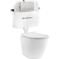 St. Tropez Back to Wall Concealed Tank Toilet Bowl Bundle in