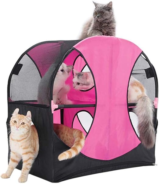 cat wheel amazon