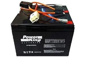 Razor Pocket Mod Replacement Batteries Bella, Betty, Bistro, Blossom, Chrissy, Daisy, Hannah Montana, Kiki, Sweet Pea, Vapor W15130412003 Beiter DC Power