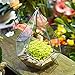 NCYP Silver Hanging Glass Geometric Terrarium, 6.8 x 6.8 x 8.6 Inches Teardrops Shape Display Planter for Succulent Air Plants, Indoor Decor Flower Holder, Handmade (NO Plants)