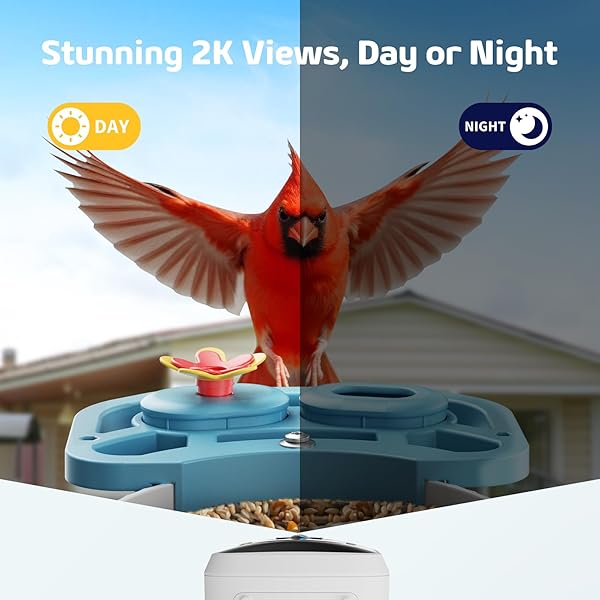 SMART BIRD FEEDER WITH CAMERA, 2K HD SOLAR POWERED BIRDHOUSE WITH CAM FOR OUTDOORS, AI IDENTIFY BIRDS SPECIES, AUTO CAPTURE & REAL-TIME NOTIFICATIONS (BLUE)