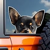 ZUKHL 2-Pack Peeking Chihuahua Car Decal Sticker, 5.51"x3.54", Realistic Black Red Chihuahua Head Dog Vinyl Decal, Suitable for Car Windows, Bumper, Side Mirrors, Laptops, Glass, Walls #2BZ552