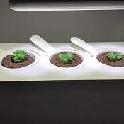 Emsa Click & Grow Smart Garden 3 unidades M52617, Semillas Smart ...