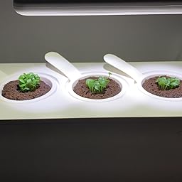 Emsa Click & Grow Smart Garden 9 unidades M52619, Semillas Smart ...