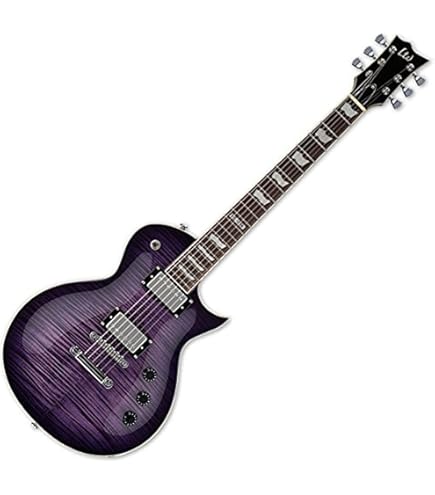 Ibanez Artcore AS53 - Transparent Black Flat : Amazon.ca