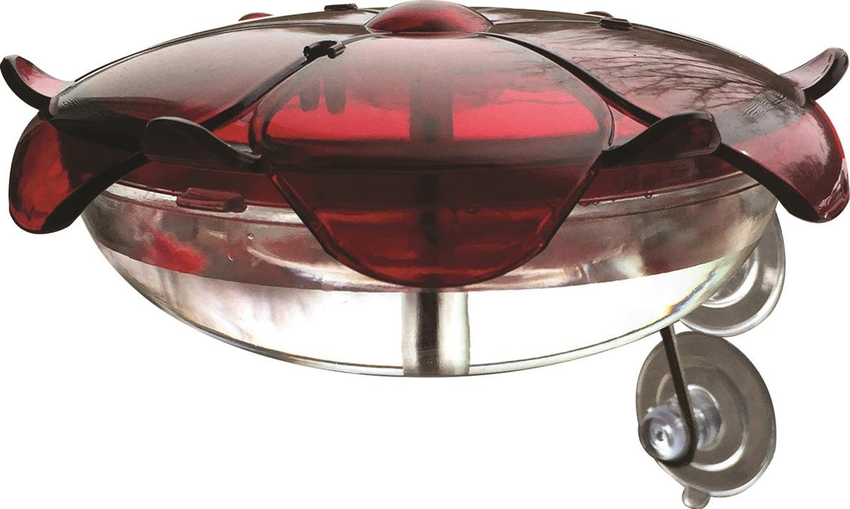 Droll Yankees 344550 Ruby Sipper Window Hummingbird Feeder Amazon
