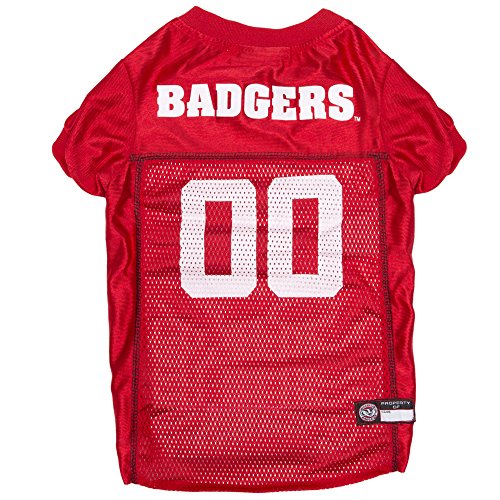 Wisconsin Badgers