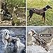 OneTigris Tactical Dog Training Vest Harness with Mesh Padding and Two Handles (Coyote Brown - Upgraded Version, L / 49cm)