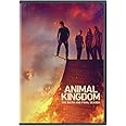 Animal Kingdom: Season 6