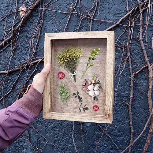 LadyRosian - 8x10 Display Case Shadow Box Frame with Linen Background and 4 Stick Pins Memento Photos Wedding Memory Box