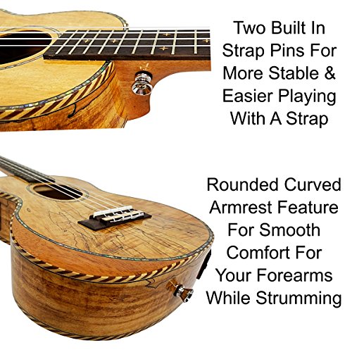 Ukulele From Lohanu Amazing Looking Spalted Maple With Armrest Glossy