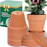 6 Inch Clay Pot for Plant with Saucer - 4 Pack Large Terra Cotta Plant Pot with Drainage Hole, Flower Pot with Tray, Terracot