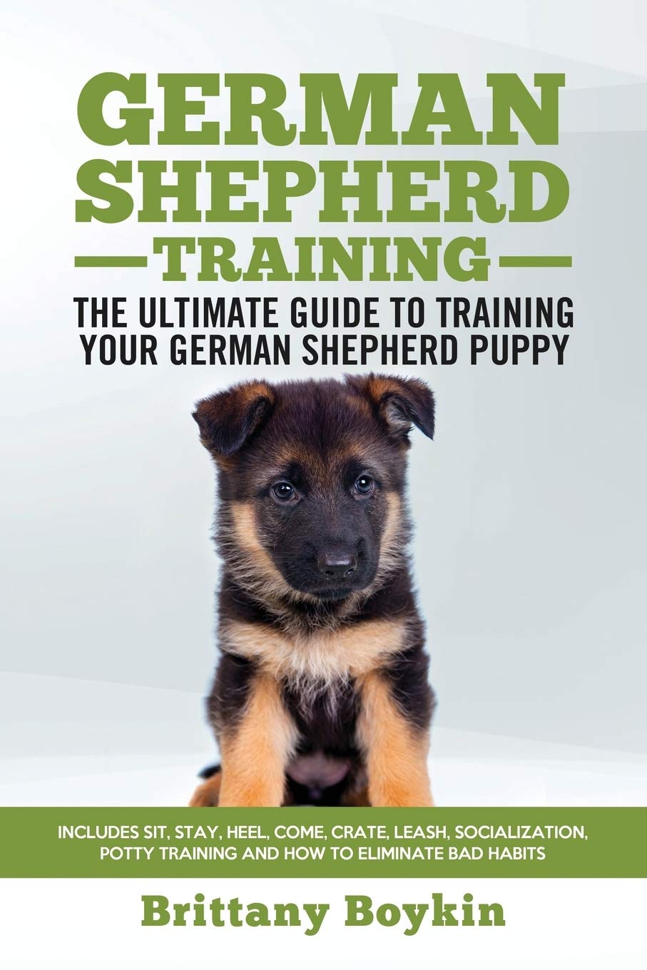 leash training german shepherd