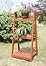 Convenience Concepts 3-Tier Plant Stand