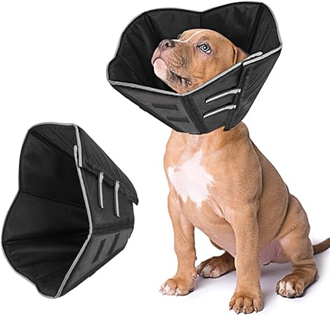 dog anti bite collar