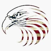 BZ Trading American Eagle Face Vinyl Decal Wall Laptop Bumper Sticker 5 inches, RDB-USA-STICKERS-1019