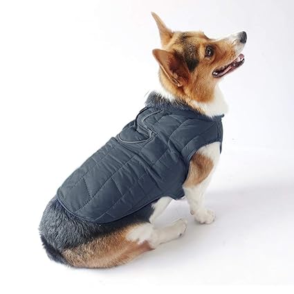 OIZEN Hund Jacke, Wendbar Hundemantel Warme Kleidung Wasserdicht Hundejacke Frühling Herbst Winter Größe XS M L XL