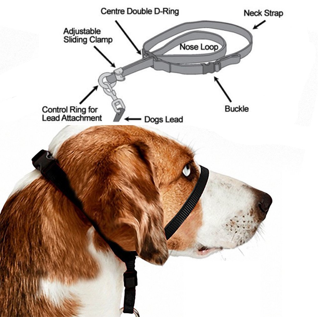 dog harness with nose strap