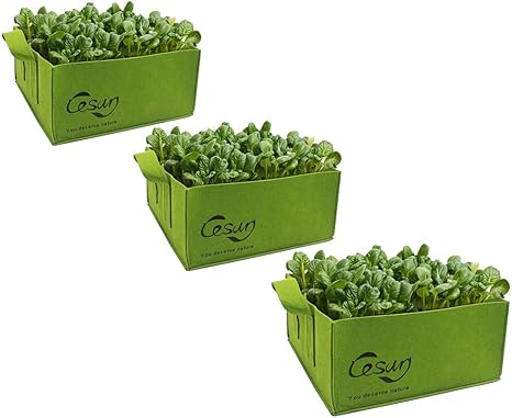 Amazon フェルト プランター 不織布 植木 ポット 3pcs おしゃれ 植え袋 野菜栽培 発育促進 3ガロン 高14x幅30cm プランター