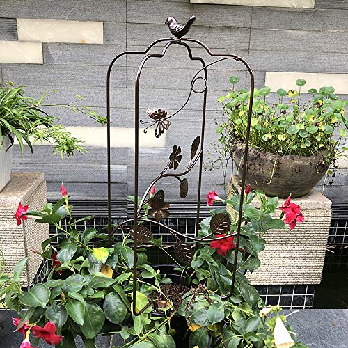 CJSWT Rankhilfe Rankgerüst Kletterpflanzen,Obelisken, Pflanzendesign Garten Gitter, Für Im Freien Kletterer Blumen und…