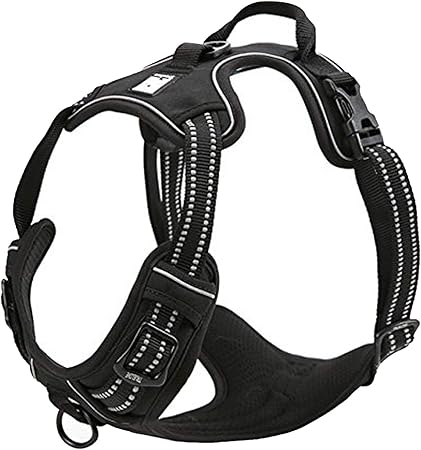 true love harness amazon