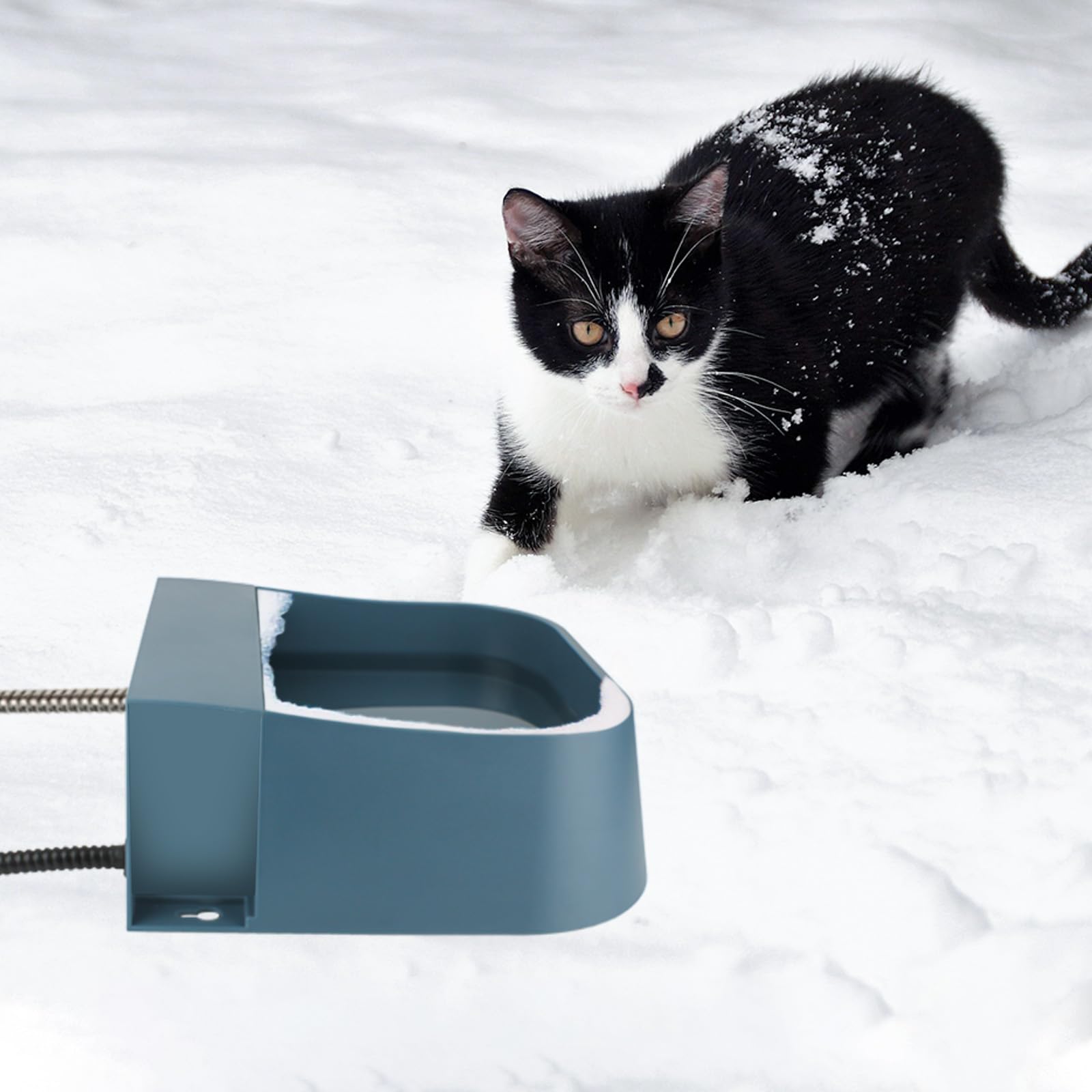 NAMSAN Heated Water Dispenser