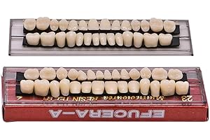Impressive Smile Dental Acrylic Resin Denture Teeth Synthetic Polymer Tooth Kit Upper + Lower for Dentistry, Education, Teaching Models, Halloween Horror Prop, Replacement, DIY (23A2(2SET))
