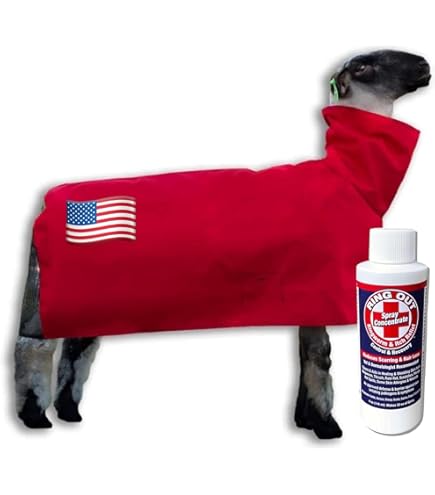 Show Pro Sheep Blanket - Blue Nylon Cover With Mesh Butt For Show Lambs (Medium)