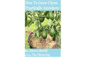How To Grow Citrus Practically Anywhere