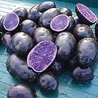 Simply Seed - Purple Majesty - Naturally Grown Seed Potatoes - 3 LB- Ready for Spring Planting