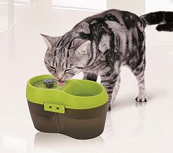 cat h20 fountain