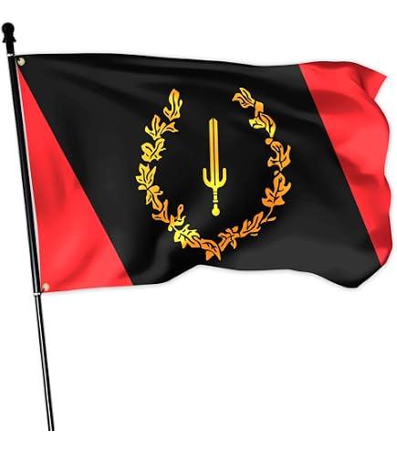 3x5ft African Union Flag Banner Afro Continent Black Power Alliance Polyester