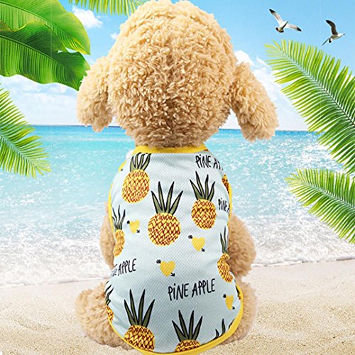 OOEOO Pet Shirt Couple Dress Puppy Dog Princess Doggie Apparel Costume Clothing (Pineapple Shirt, XL)